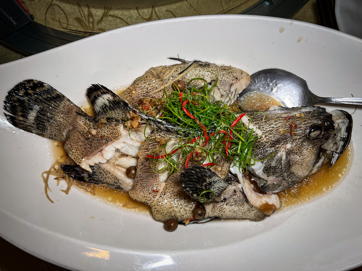 【龍哥斯特】花蓮海鮮餐廳美食推薦,海洋主廚愛爾文的精湛手藝,嚴選活海鮮的在地食材,花蓮人氣聚會餐廳首選! - 第17張圖 【龍哥斯特】花蓮海鮮餐廳美食推薦,海洋主廚愛爾文的精湛手藝,嚴選活海鮮的在地食材,花蓮人氣聚會餐廳首選!