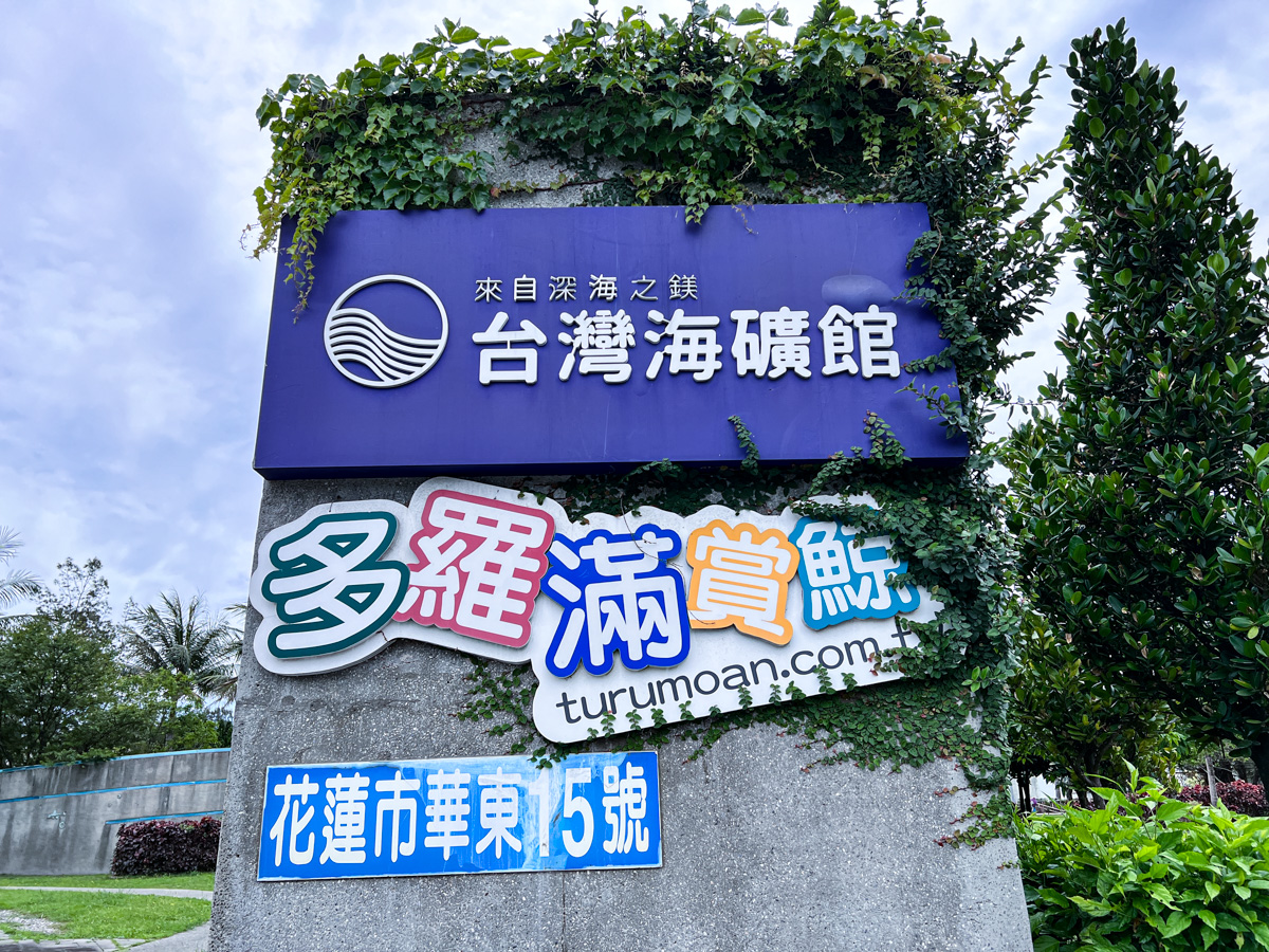 【多羅滿賞鯨】花蓮賞鯨推薦，專業解說員全程導覽，看到海豚超級開心！從海上欣賞台灣之美的感動旅程！
