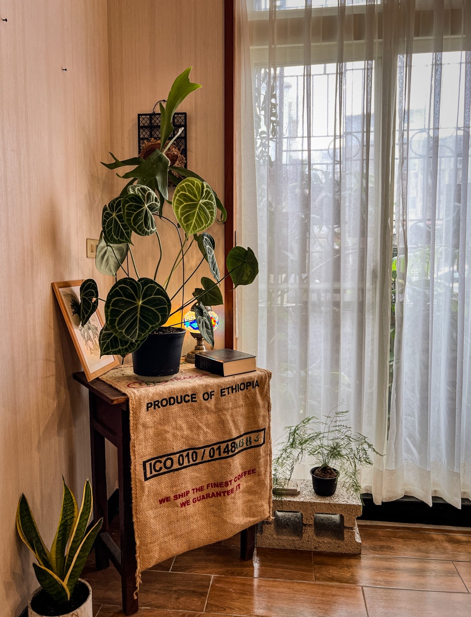 【森晴對樺】礁溪下午茶甜點推薦，人氣手作甜點與手沖咖啡，一開門就坐滿的礁溪網美咖啡廳！