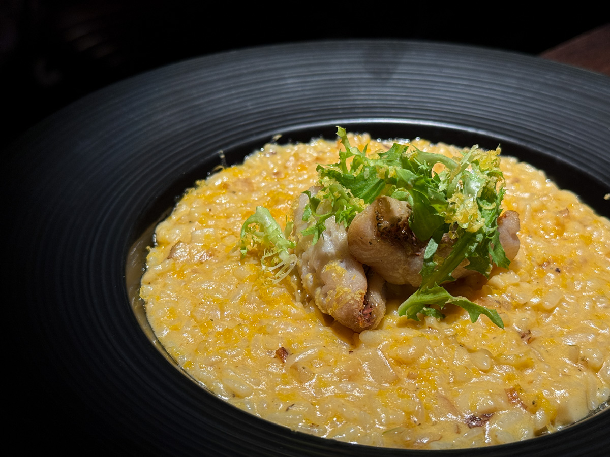 【Hoda Bistro】台北信義評分最高的平價餐酒館美食推薦，多款精緻料理與特色調酒，台北信義約會聚餐首選餐廳