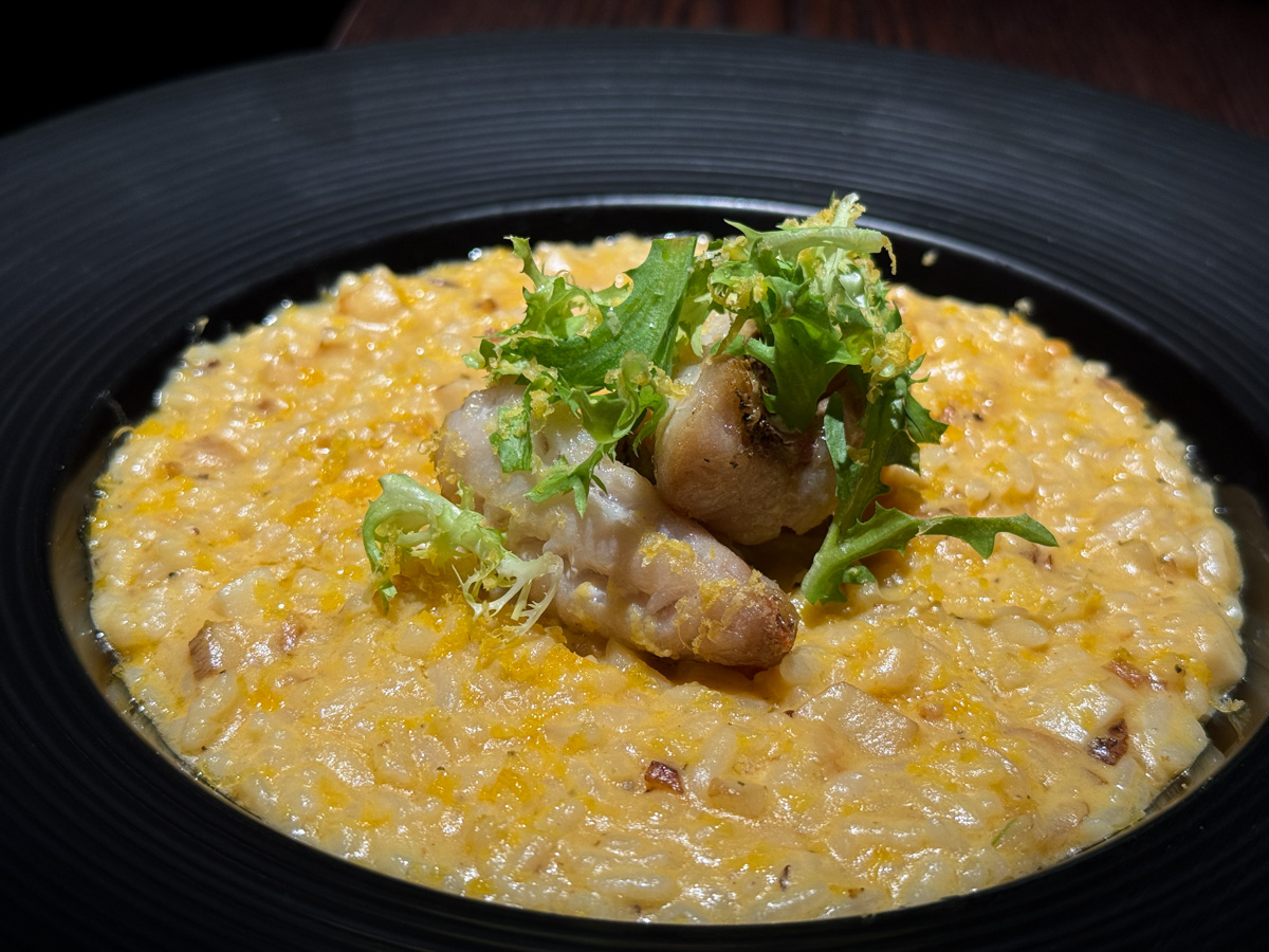 【Hoda Bistro】台北信義評分最高的平價餐酒館美食推薦，多款精緻料理與特色調酒，台北信義約會聚餐首選餐廳