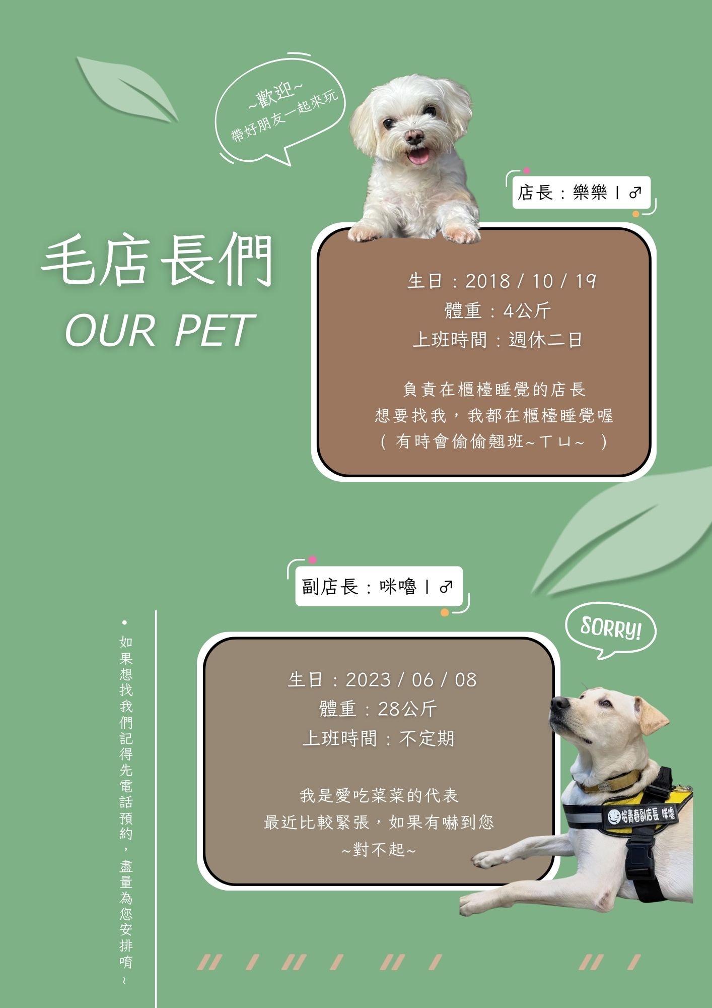 【拾青春】中壢評分最高美食餐廳推薦，精緻地中海料理、特色手作甜點，內用套餐可以續加前菜！