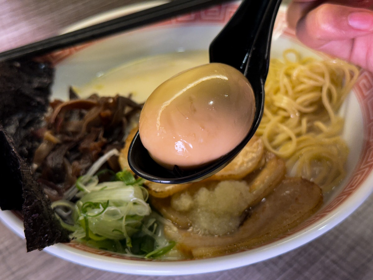 【麵屋堂本】中壢超人氣必吃拉麵美食推薦，190元起內用免費續麵一次，客製化調整麵條與口味
