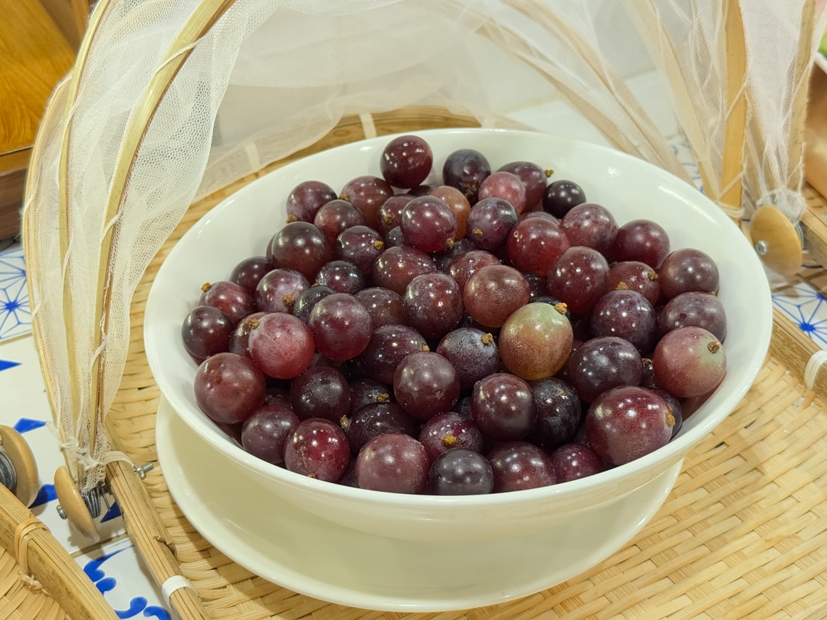 【煙波花時間-宜蘭傳藝】宜蘭評分最高的住宿飯店推薦，一泊二饗夜宿宜蘭傳藝園區，全台唯一藝城古遊飯店！