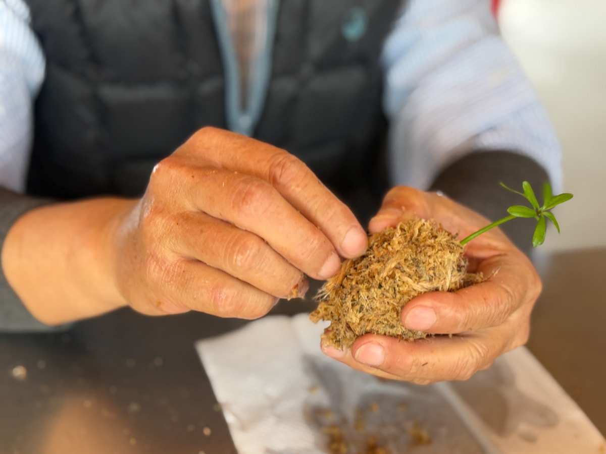 【花蓮理想大地渡假飯店】花蓮住宿飯店推薦，洄遊趣全包式假期，享沉浸式五感深度體驗，星級旅館集星抽大獎！