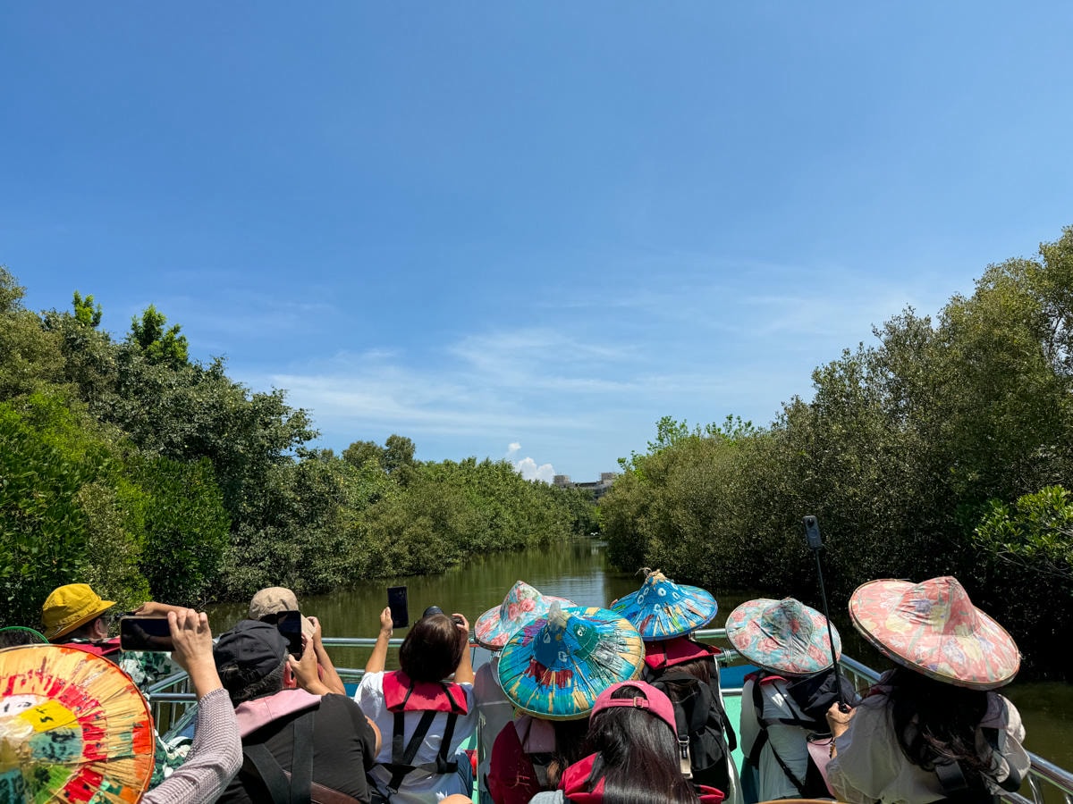 【四草綠色隧道】台南安南區景點推薦，最新費用、航班時間全攻略，一年四季都很美的台版亞馬遜河綠色隧道！