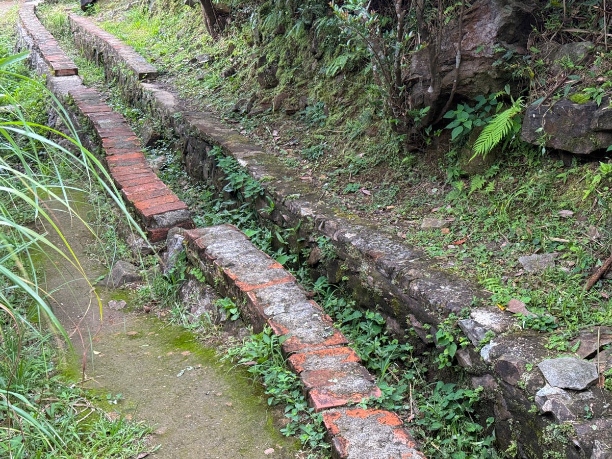 【一線天石頭路】金瓜石秘境景點推薦,教你怎麼去一線天石頭路,見證在地最輝煌的淘金時代遺址! - 第8張圖 【一線天石頭路】金瓜石秘境景點推薦,教你怎麼去一線天石頭路,見證在地最輝煌的淘金時代遺址!