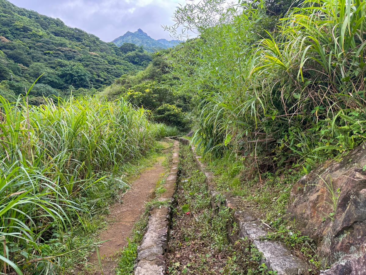 【一線天石頭路】金瓜石秘境景點推薦,教你怎麼去一線天石頭路,見證在地最輝煌的淘金時代遺址! - 第9張圖 【一線天石頭路】金瓜石秘境景點推薦,教你怎麼去一線天石頭路,見證在地最輝煌的淘金時代遺址!
