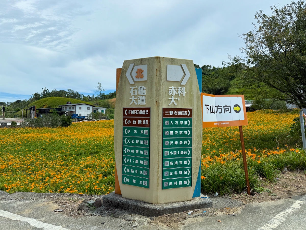 【赤科山金針花季】最新活動資訊一次看！4大賞花專車行程、漫遊23個金針花打卡景點愛上赤科山！