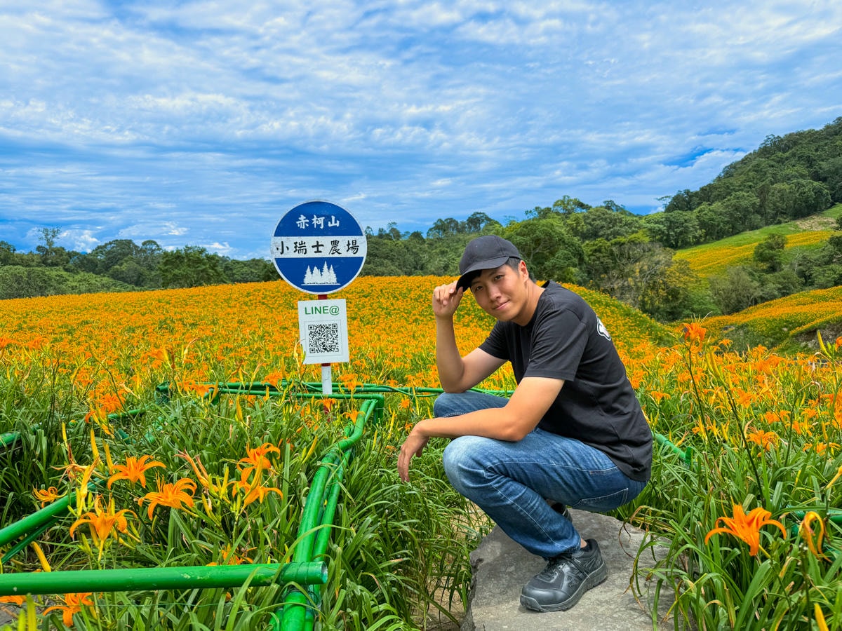 【赤柯山小瑞士農場】花蓮赤柯山特色景點推薦，4公頃絕美金針花田，人氣必拍金針花海打卡地標！