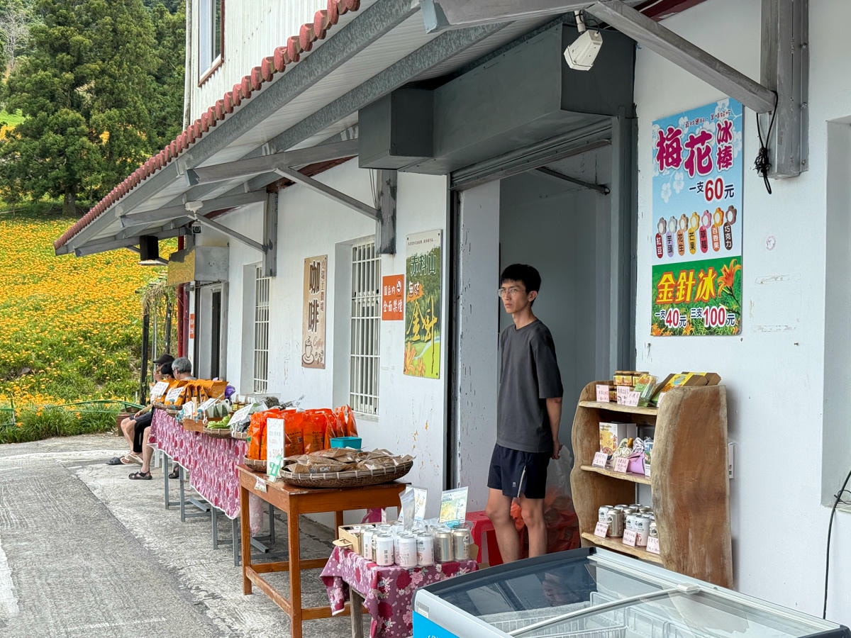 【赤柯山小瑞士農場】花蓮赤柯山特色景點推薦，4公頃絕美金針花田，人氣必拍金針花海打卡地標！