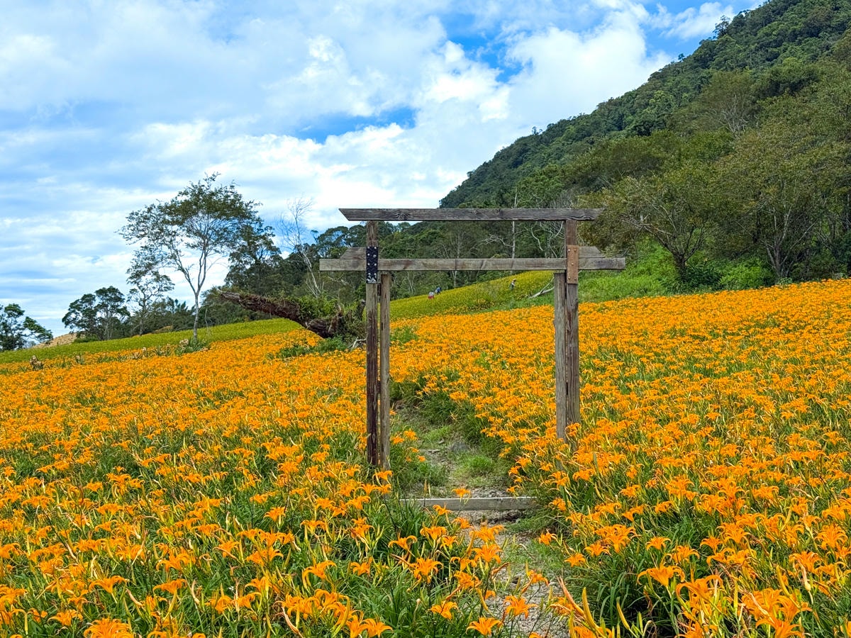 【加蜜園】花蓮赤科山美食餐廳推薦，預約制精緻合菜3000元起，人氣必吃私房無菜單料理！後院必拍金針花海秘境