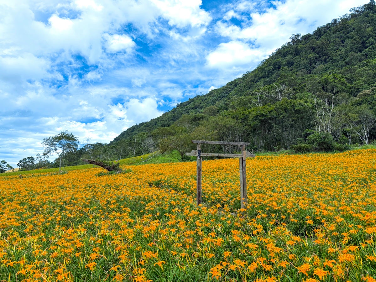 【加蜜園】花蓮赤科山美食餐廳推薦，預約制精緻合菜3000元起，人氣必吃私房無菜單料理！後院必拍金針花海秘境