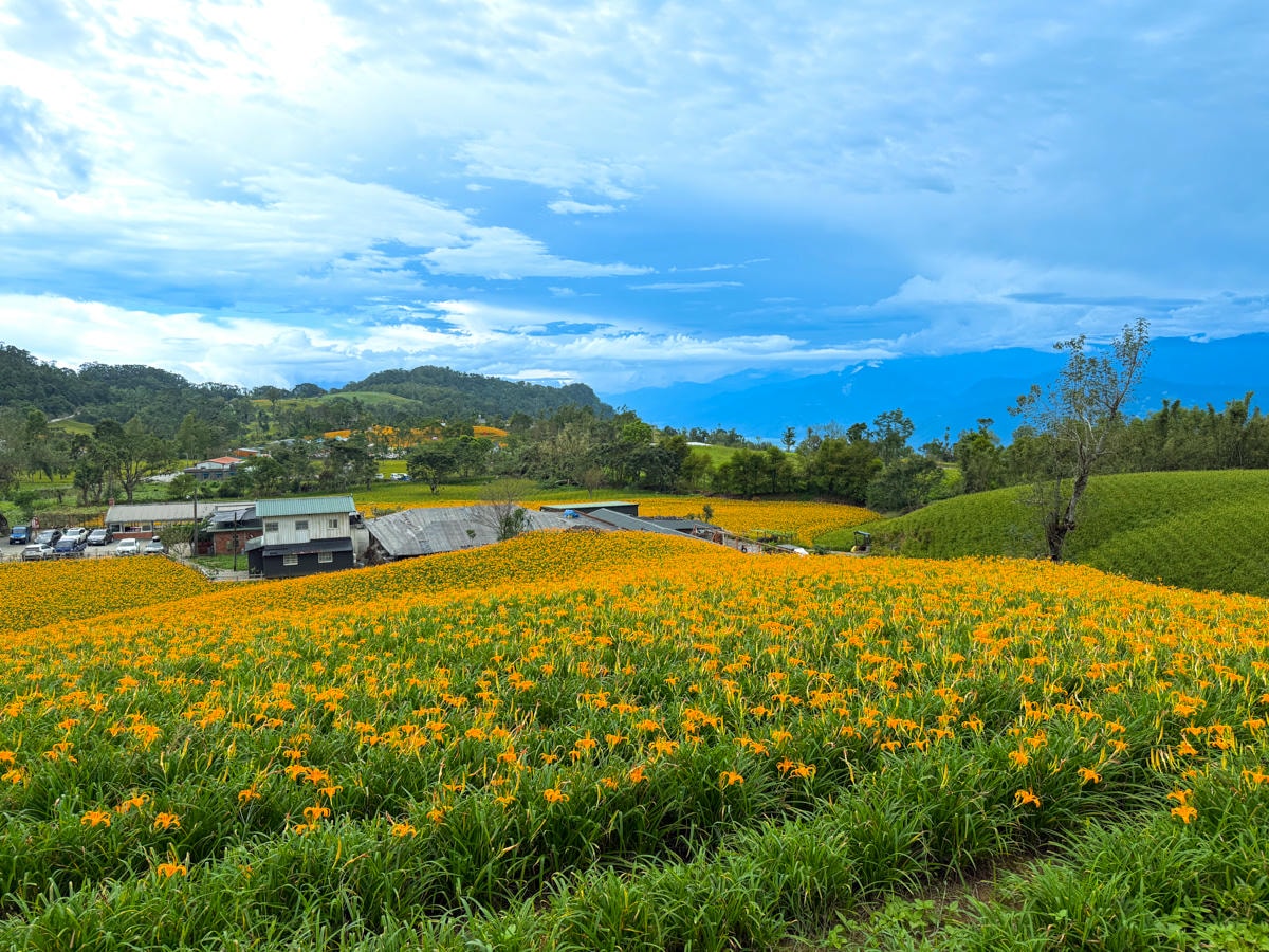【汪家古厝】花蓮赤科山旅遊景點推薦，獨特木造四合院曬金針，觀景台眺望花東縱谷！