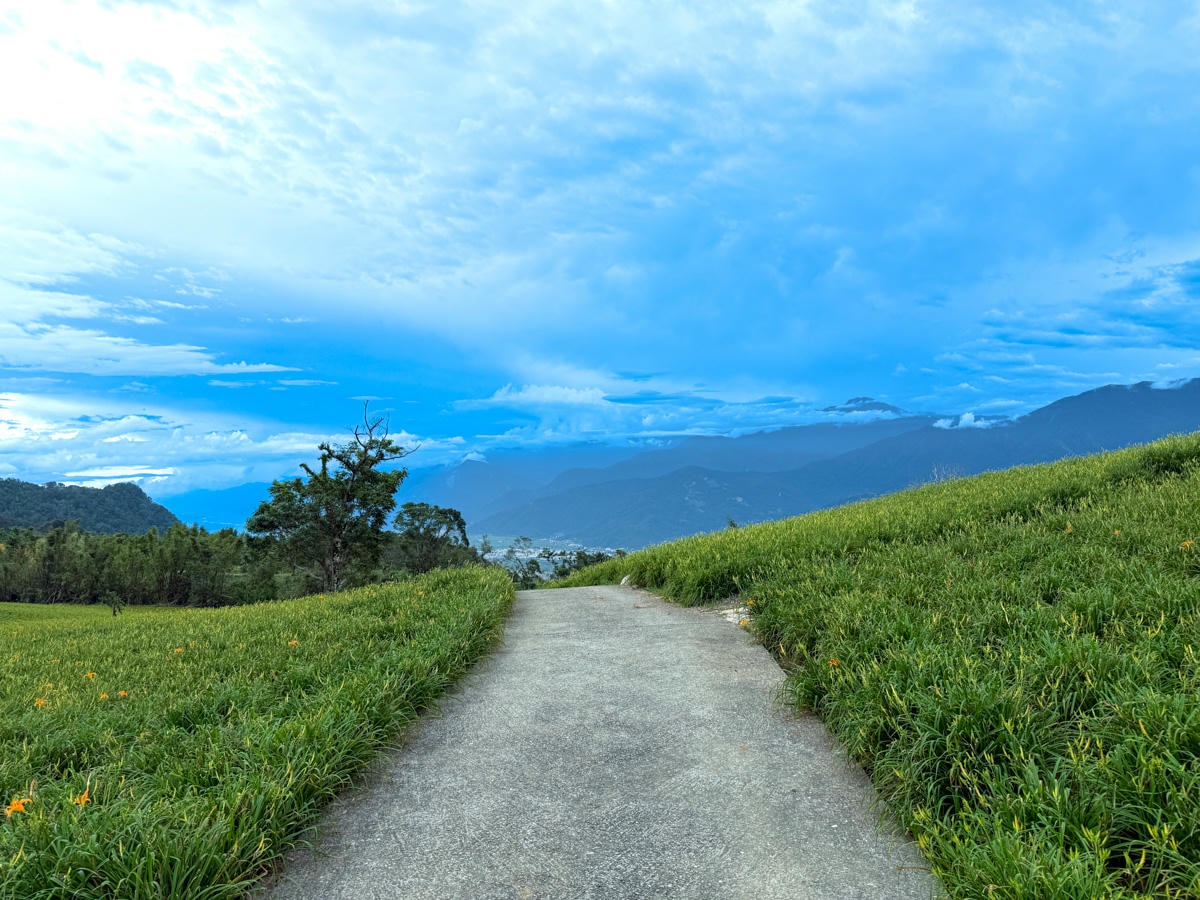 【汪家古厝】花蓮赤科山旅遊景點推薦，獨特木造四合院曬金針，觀景台眺望花東縱谷！