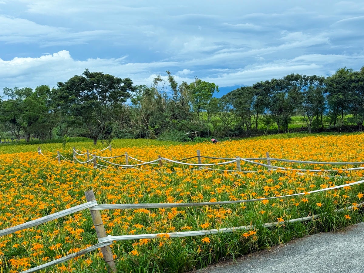 【汪家古厝】花蓮赤科山旅遊景點推薦，獨特木造四合院曬金針，觀景台眺望花東縱谷！