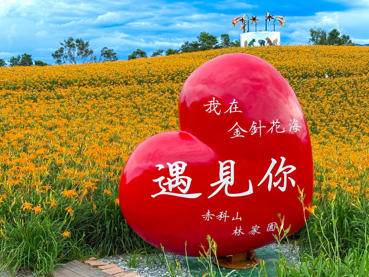 【赤科山林家園休閒農場】花蓮赤科山最美金針花園區推薦,多種裝置藝術拍照打卡地景,金針花季必去的花海地標! - 第12張圖 【赤科山林家園休閒農場】花蓮赤科山最美金針花園區推薦,多種裝置藝術拍照打卡地景,金針花季必去的花海地標!