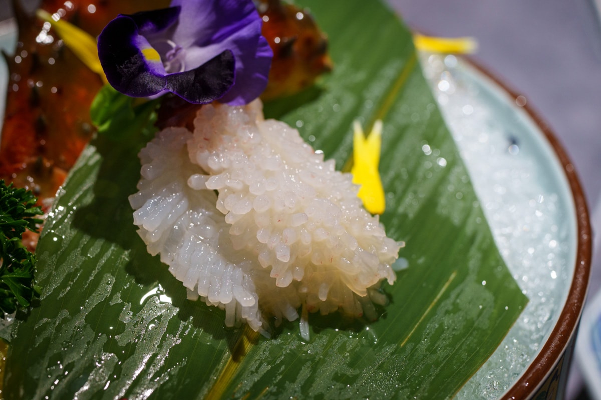 【二本松涮涮屋】台北大安頂級火鍋美食推薦，大啖北海道夢幻花咲蟹最新套餐！專人桌邊服務，傳承日本二本松頂級天然火鍋首選！