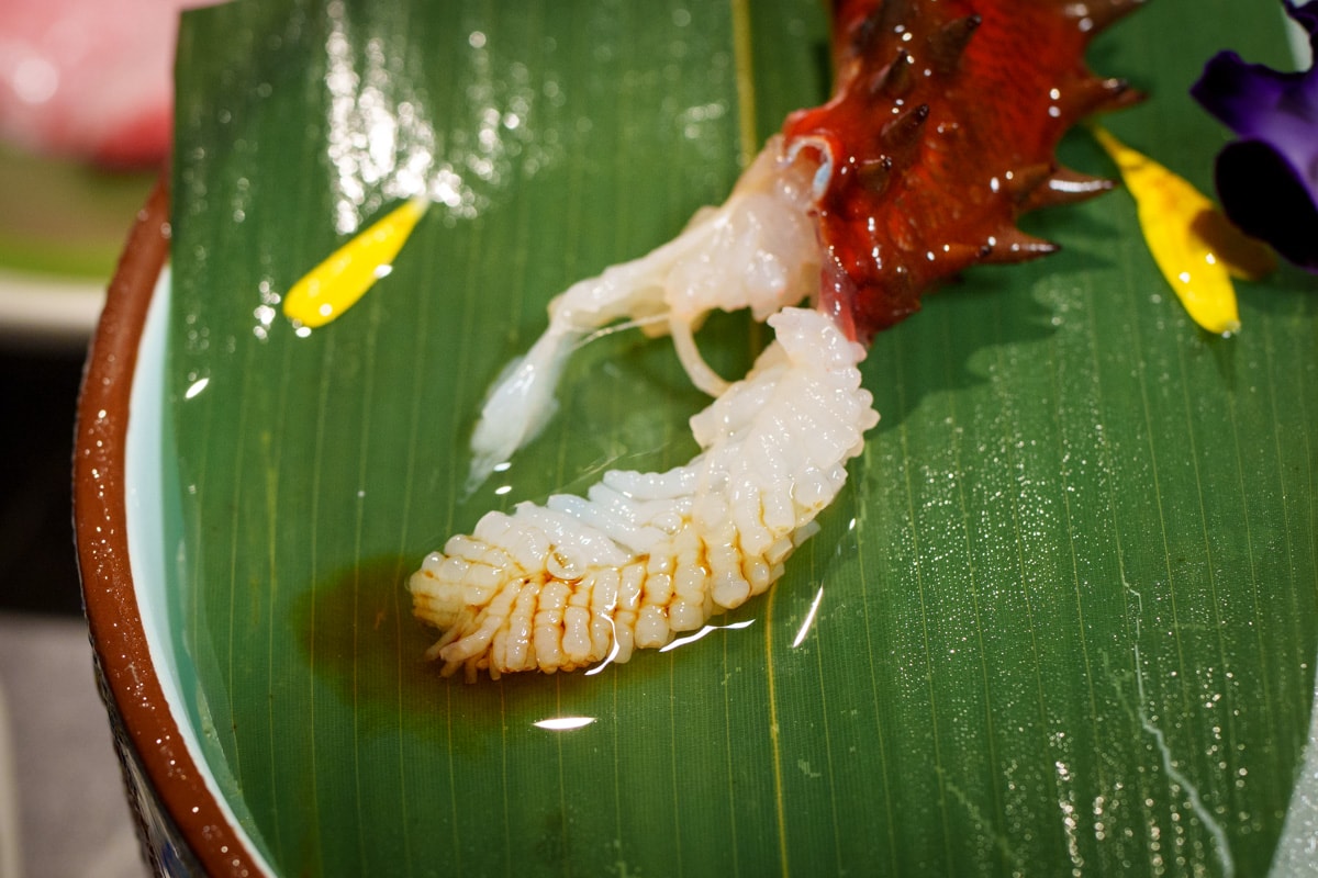 【二本松涮涮屋】台北大安頂級火鍋美食推薦，大啖北海道夢幻花咲蟹最新套餐！專人桌邊服務，傳承日本二本松頂級天然火鍋首選！