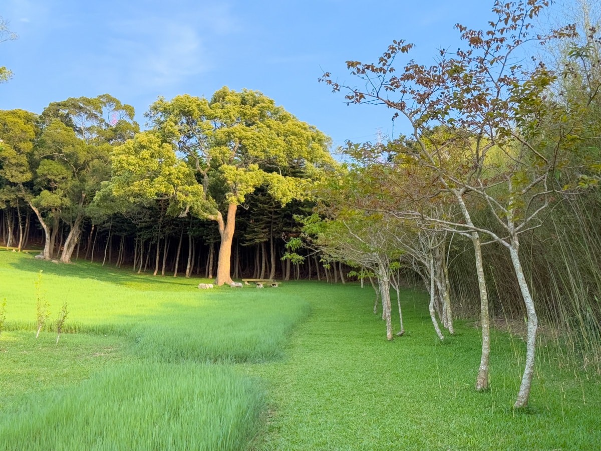 【南窩綠丘】苗栗人氣秘境新景點推薦,萬坪草原野餐!4大主題房型包棟21人,草地露營賞夕陽,大啖暖心精緻早餐饗宴! - 第91張圖 【南窩綠丘】苗栗人氣秘境新景點推薦,萬坪草原野餐!4大主題房型包棟21人,草地露營賞夕陽,大啖暖心精緻早餐饗宴!