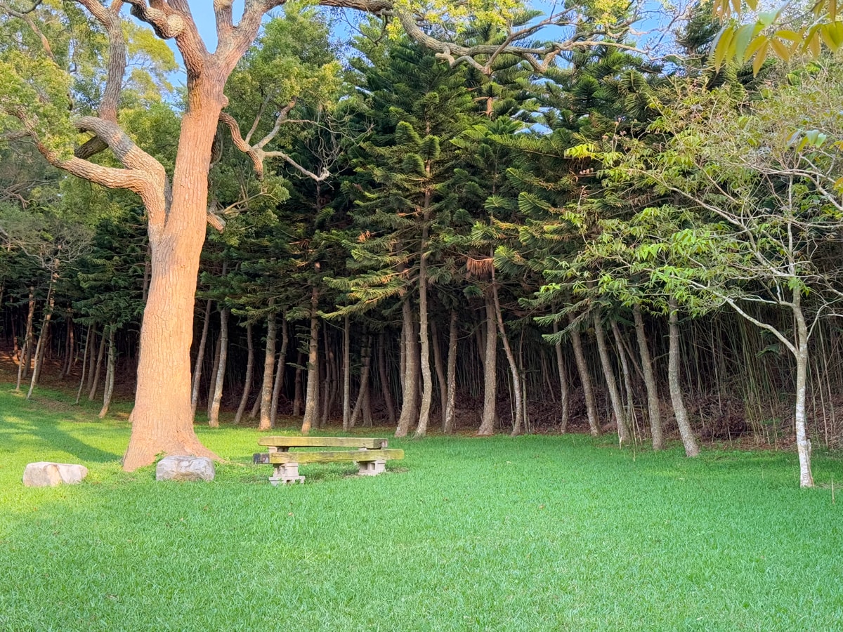 【南窩綠丘】苗栗人氣秘境新景點推薦,萬坪草原野餐!4大主題房型包棟21人,草地露營賞夕陽,大啖暖心精緻早餐饗宴! - 第92張圖 【南窩綠丘】苗栗人氣秘境新景點推薦,萬坪草原野餐!4大主題房型包棟21人,草地露營賞夕陽,大啖暖心精緻早餐饗宴!