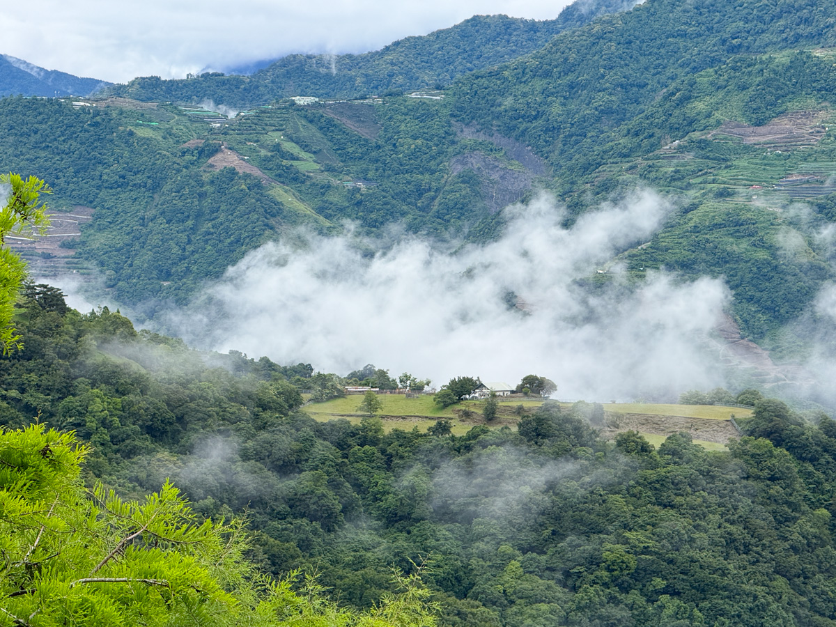 【見晴花園渡假山莊】南投清境景觀民宿推薦，5大主題房型一泊二食，加購高CP值觀星、賞日出、半日遊行程