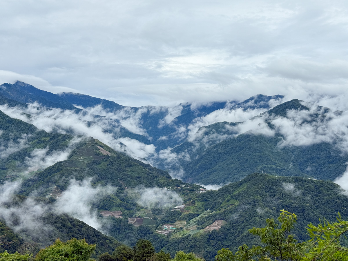 【見晴花園渡假山莊】南投清境景觀民宿推薦，5大主題房型一泊二食，加購高CP值觀星、賞日出、半日遊行程