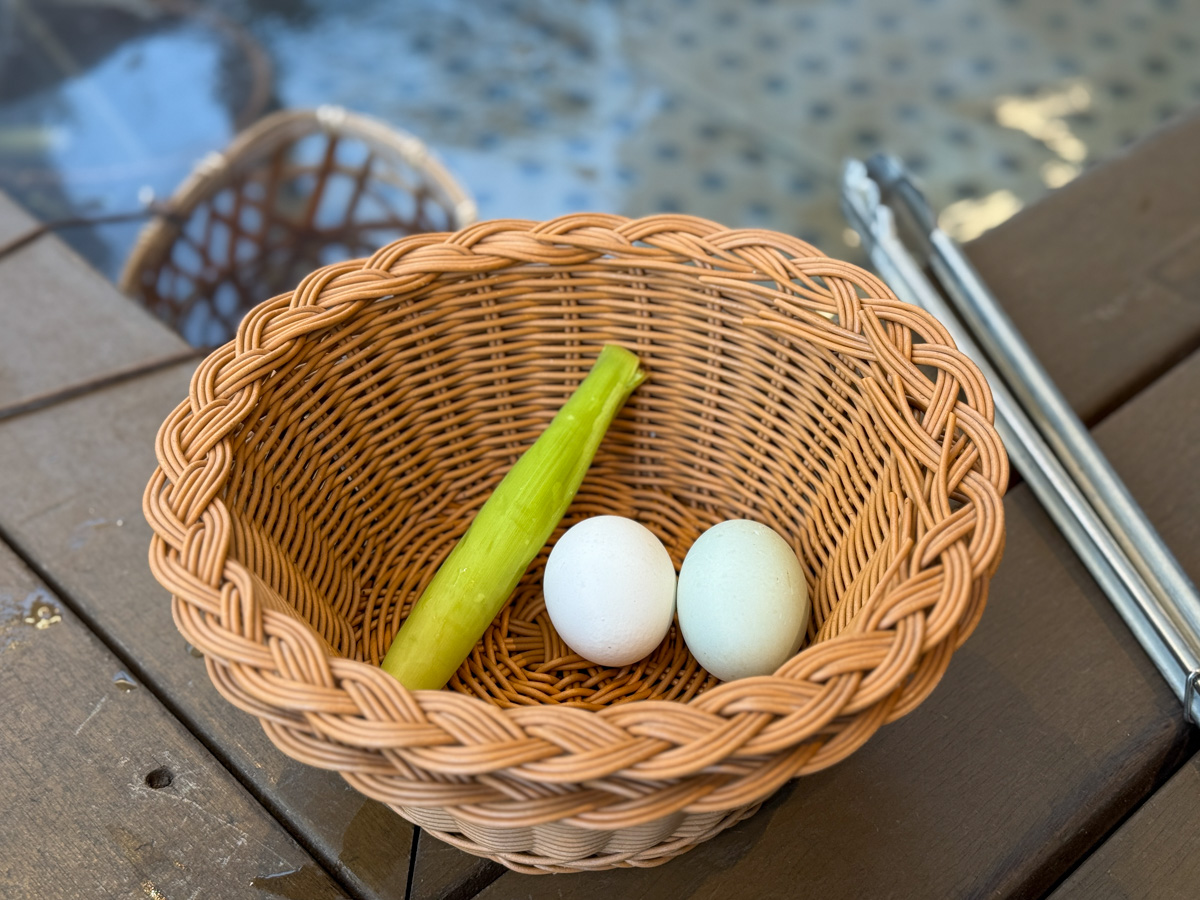 【葛瑪蘭之星飯店】礁溪人氣溫泉飯店推薦，6大質感設計房型，內建月光石溫泉浴池，齊全飯店設施、徜徉在頂樓露天溫泉SPA！